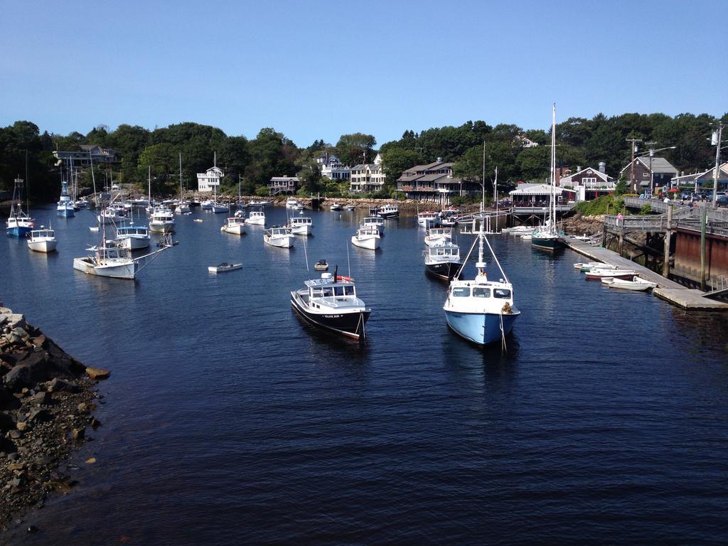 Black Boar Bed & Breakfast Ogunquit